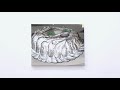 Mireille blanc  anne  sarah bnichou gallery paris dec 2020