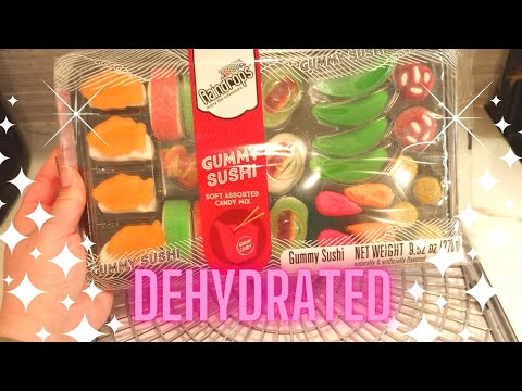 We Dehydrated This Huge Gummy Sushi Set, Candy in the Dehydrator Machine