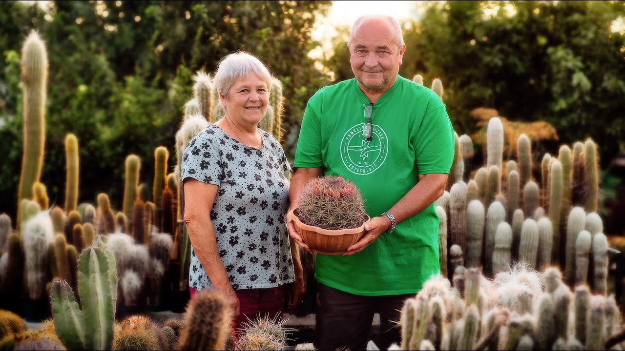 Tóth család - Kaktuszgyűjtők | Cactus and succulent collectors