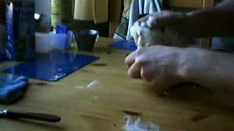 How to make an ant farm - part 1