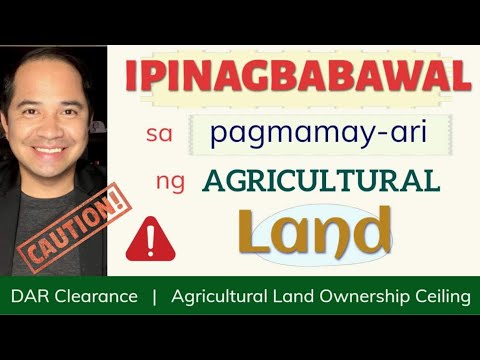 Video: Kailan Mag-aani ng Quince Fruit: Mga Tip sa Pagpili ng Quince Fruit
