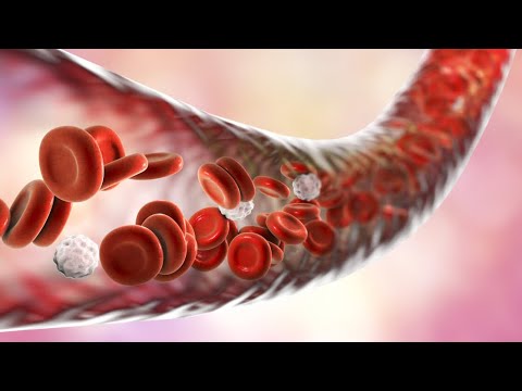 الصفيحات الدموية معلومات مهمة حول النزف و اللوكيميا و الحيض القوي استمع و استفد