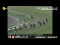 わずか1cm差の勝利 フラワーパーク（1996年第30回スプリンターズ