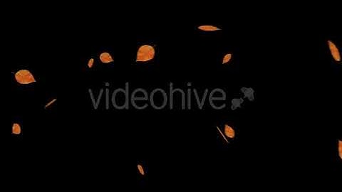 Falling Leaves With Alpha Channel | Motion Graphics - Envato elements