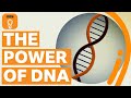 Unlocking the Secrets of DNA and Its Impact on Life and Medicine