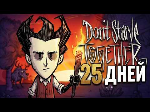 Don't Starve Together for 25 Days