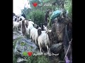 اللهم ارزقنا بل الف الفه اللهم ارزقنا بل الف الفه