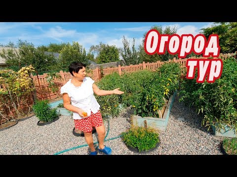 Тур по огороду, до и после, грядки, подвал, соленья