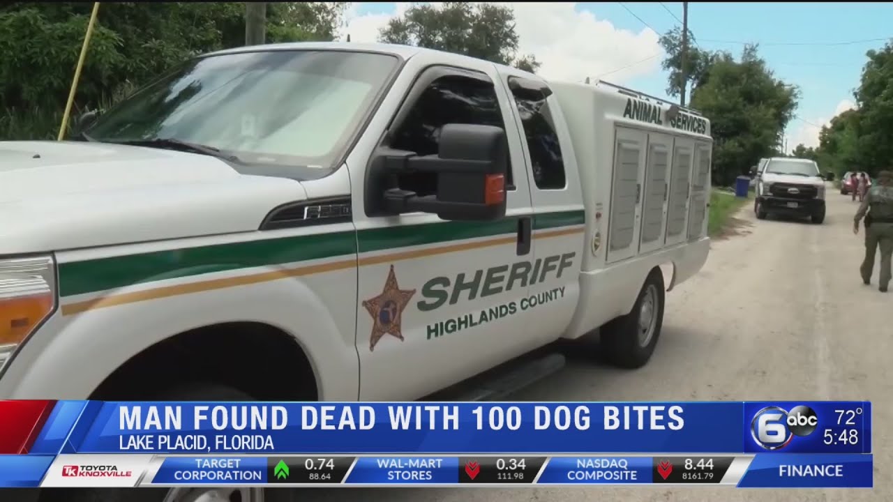 A Florida man is found dead with 100 dog bites after taking a shortcut ...