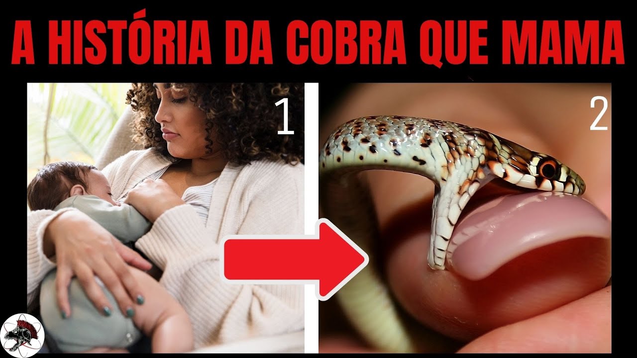 A história da Cobra que Mama | Biólogo Henrique o Biólogo das Cobras