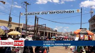 Cameroun : le prix du poisson divise