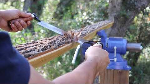 Osage orange bow build part 1 (time lapsed)