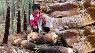 竹林满地春笋，阿嬷挖来做笋干，暴晒五日片片金黄挂满“白霜”！丨dried bamboo shoots【闽湖阿嬤FujianGrandma】