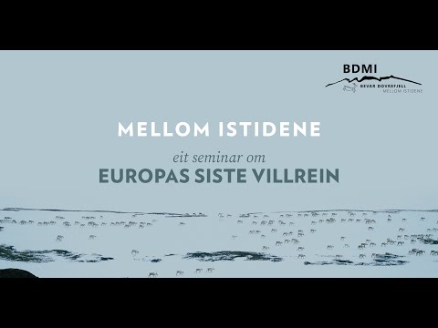 MELLOM ISTIDENE – eit seminar om EUROPAS SISTE VILLREIN