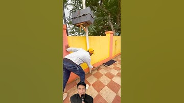 Cách bắt rắn đơn giản ai cũng có thể làm được #snake