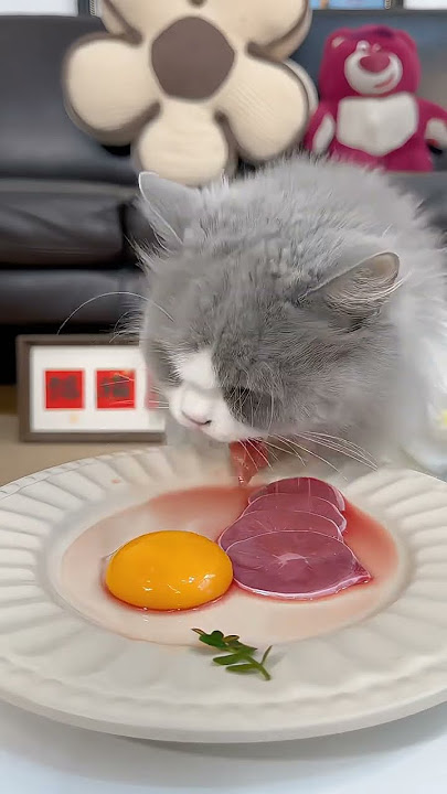 it's animal world 🌍 1. #CatFood2. #FelineNutrition3. #CatFeed4. #PetFood5. #CatCar1. #CatLovers2.