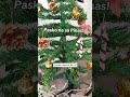 🛒 https://vt.tiktok.com/ZSHGE9bB1DYpc-a5lZv/ #pasko #paskongpinoy #christmas #christmastree