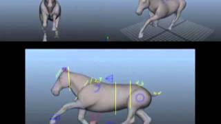 Horse Run Cycle SD