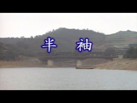 卓依婷 - 半袖