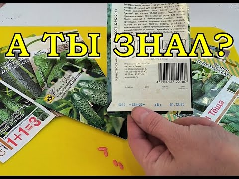 ШПАРГАЛКА для дачников: крайние сроки хранения СЕМЯН овощей🍆🌽🍅 🥕