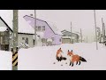 이하이 LeeHi 성시경 SUNG SI KYUNG 골목길 Alley 광고 없이 1시간 연속 재생 이하이 LeeHi 성시경 SUNG SI KYUNG 골목길 Alley 광고 없이 1시간 연속 재생