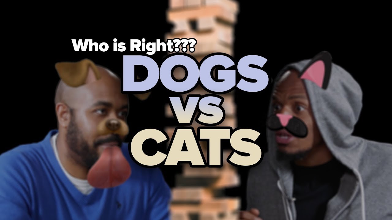 Dogs or Cats - Which Pet Is Best? - YouTube