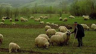 Meditations on Assurance: Psalm 23 intro. &amp; v.1 - The Lord is My Shepherd