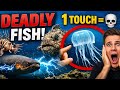 Top 5 Deadliest Fish You Should NEVER Touch 😱 (Real Danger!)