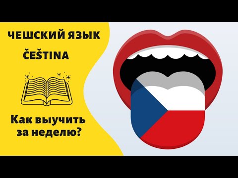 Выучить чешский язык за неделю! Возможно!?