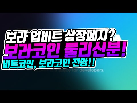   보라 두나무 3대주주 업비트 상폐 보라코인 물린분들 다오세요 비트코인 보라 전망