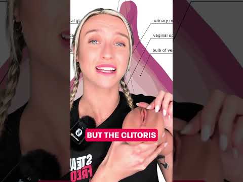 What Is The Clitoris