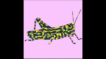 Grasshopper Chirping