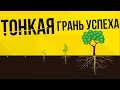 ПРОСТОТА УСПЕХА. Эффект накопления