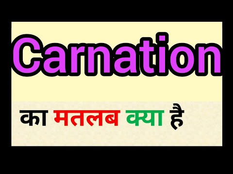 Carnation meaning in hindi | carnation ka matlab kya hota hai | word meaning English to hindi