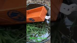 Emilys New Route Crash