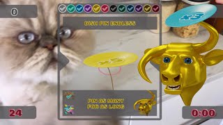 Wozie the Persian Cat Breaks Dish Pinner AR Mobile Game screenshot 2