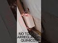 no todo se arregla con químicos. #gestiondeplagas #controldeplagas #cucaracha #blatellagermanica