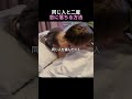 いいえ、同じ人に二度恋する方法
