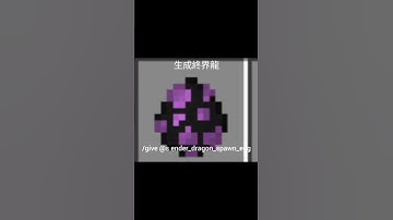 Minecraft只能用指令得到的東西