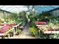 Garden Center - VallromanesVerd Centro de Jardinería HD