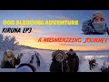 Dog sledding adventure exploring snowcovered forests sweden  kiruna  tamil vlog  episode 3