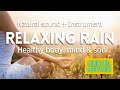 Relaxing rain  forest for deep meditation with instrument