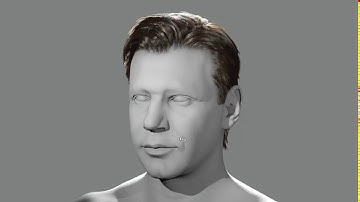 Interactive Grooming Hair