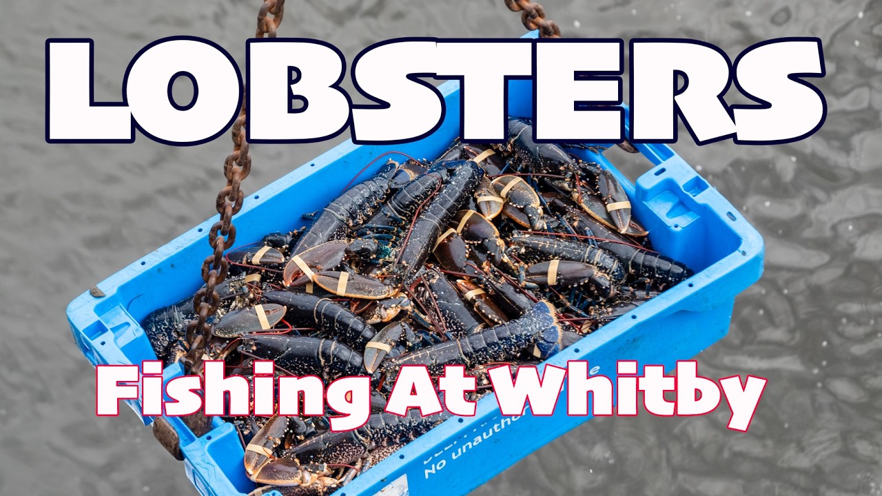 Whitby Lobsters - Fishing the Yorkshire Coast On Arkane 2