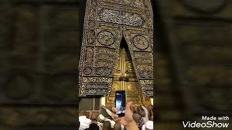 سورة الملك والعاديات سامي عبد الرحمن الكردي