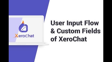 User Input & Custom Fields of XeroChat