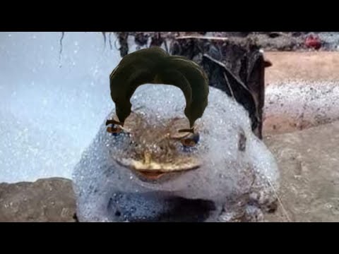 Gabriel Lindström Live Stream