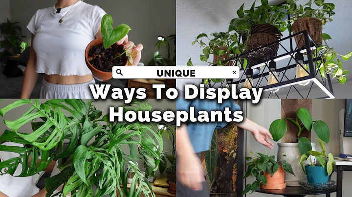 Upgrade Your Home with THESE Indoor Plant Display Tricks!