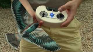 Rich Recommends Ep 2 - Avitron Bionic Bird [Deutsch]
