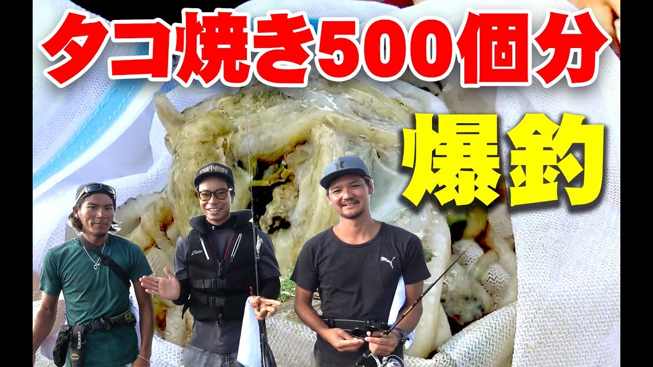 Fish Baby Octopus To Have Fried Octopus Party Youtube